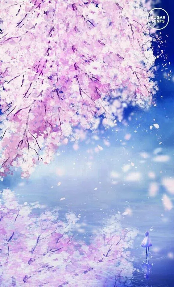 99+ ảnh hoa anh đào anime đẹp nhất đầy thơ mộng · ảnh 3