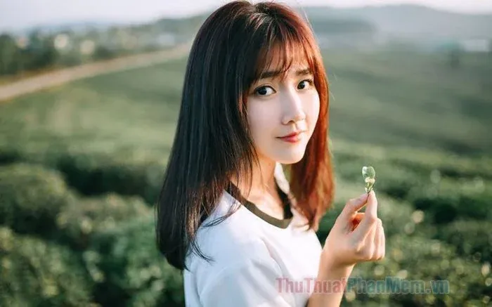99+ hình ảnh đẹp nhất tuyển chọn đầy cảm hứng · ảnh 3