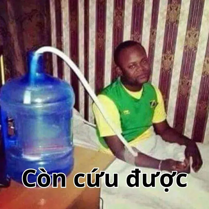 99+ meme hết cứu hài hước nhất cho những tình huống dở khóc dở cười · ảnh 3