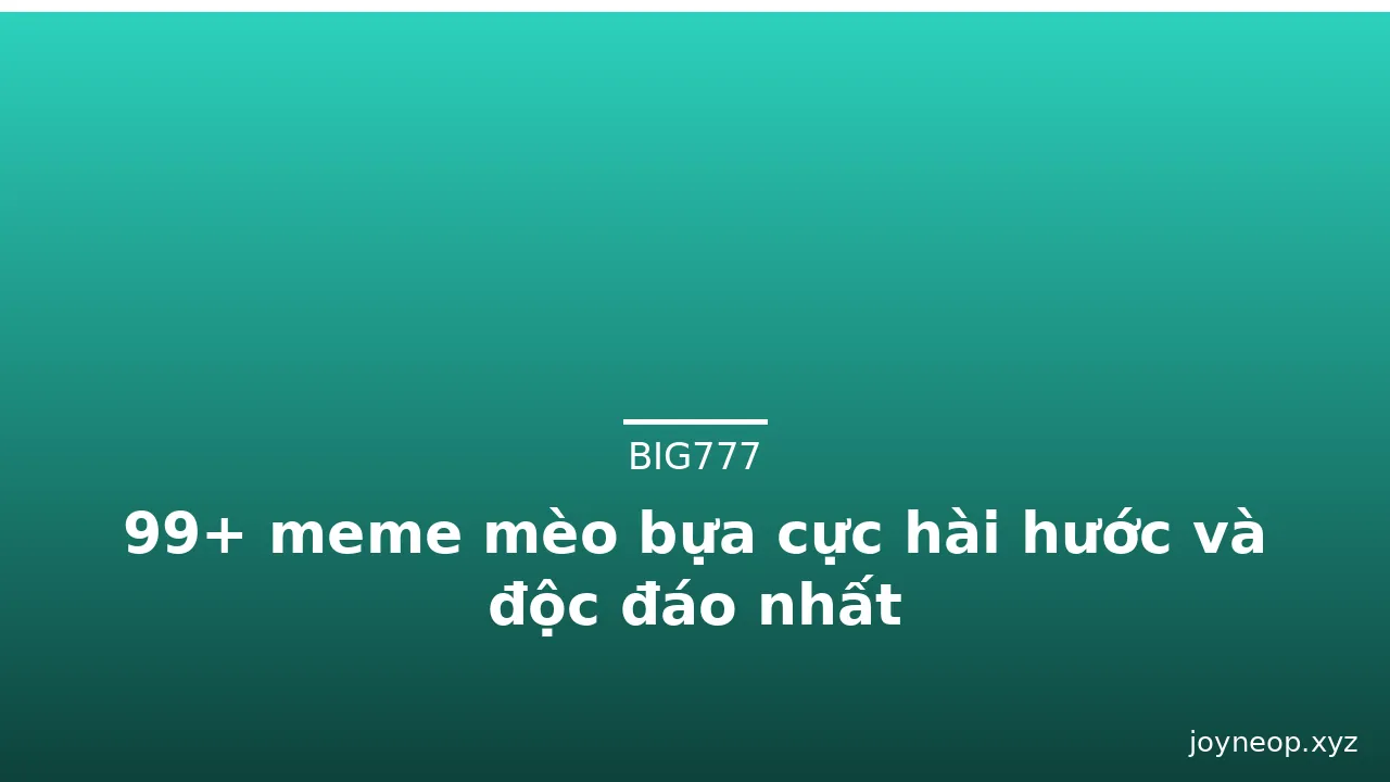 99+ meme mèo bựa cực hài hước và độc đáo nhất