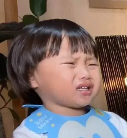 Ngắm trọn Meme hài hước — album ảnh chọn lọc 2026 · ảnh 1
